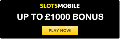 Casino Slot Play 